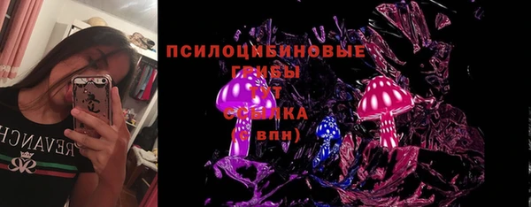 прущие крисы Аркадак