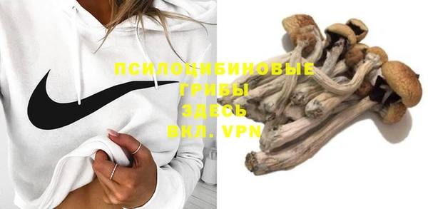 mix Армянск